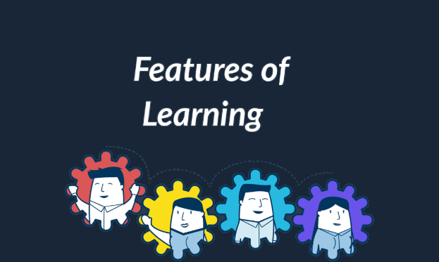 Features of Learning